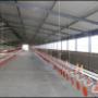 broilers units