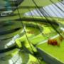 future Livestock environments