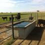 water trough