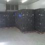 Bananas in Crates