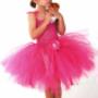 Barbie fairy tutu
