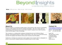 Beyond Insights's website
