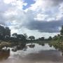 Uploaded by visitor on 2017/11/24 - Book your private airport transfer to your lodge in the Lowveld or Kruger Park with Thula Seats.