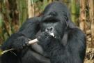 Africa Nature Trekkers