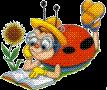 Ladybug Jungle Gyms