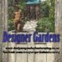 Designer Gardens Landscaping