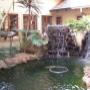 Koi pond Designer Gardens Landscaping