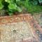 Pebble-mosaics