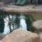 Swimming-pool