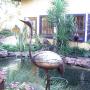 Uploaded by visitor on 2015/11/07 - Koi ponds