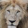 Kruger National Park