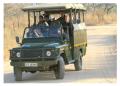 Kruger Park Game Drives
