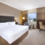 King Guest Room