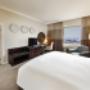 Top Floor Terrace Suite