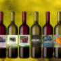 labelled wines