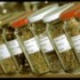 herbal doctor- drmoosa