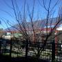 Beaufortwest 3