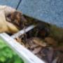 Gutter cleaning