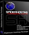 Platinum Website Hosting