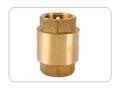 Check valve Válvula Check