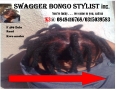 A Durban's No.1 Swagger Bongo Stylist Inc.