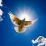 Setting the mind free