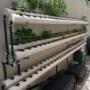 Custom NFT system
