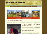 Poultry Farm - Poultry Suppliers SA