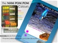Nhm Pom Pom Reusable Carp Boilie Replacers.