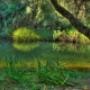 The swimming spot