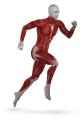Myofascial problems