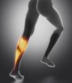 Diagnose Tendonitis or Tendon injuries