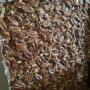 Uploaded by visitor on 2018/02/19 - Vacuum sealed pecans