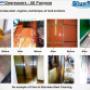 BlueStream Profile - 10
