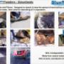 BlueStream Profile - 15