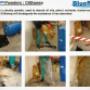 BlueStream Profile - 17