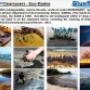 BlueStream Profile - 4