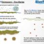 BlueStream Profile - 5