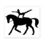 Vaulting lessons