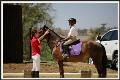 Horse Riding Lessons