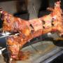 Lamb