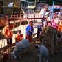 Farm animal visit