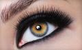 EYELASH EXTENSIONS TRAINING