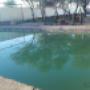 Uploaded by visitor on 2016/12/29 - Swimming pool site