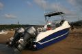 Seacat's