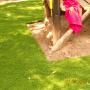 Artificial Grass