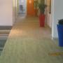 Luxury Vinyl tiles wood look