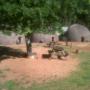 Beehives Swaziland