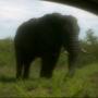 Kruger National Park