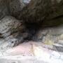 garden route tour